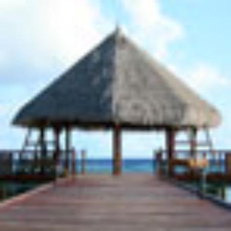 Bar Restorant Piceri Xhokla